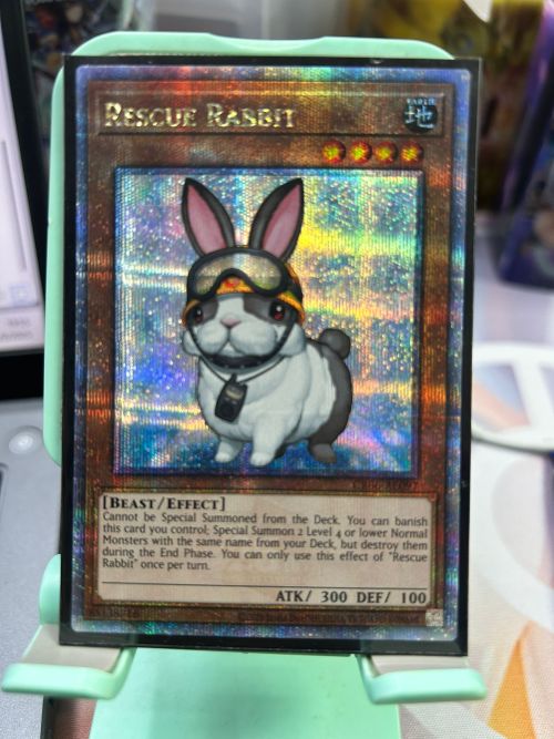 CR06-AE097 Rescue Rabbit(救援兔)